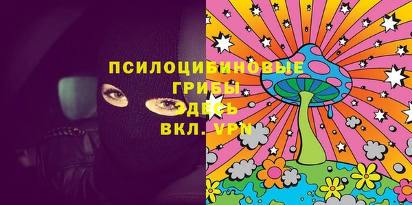 винт Снежногорск