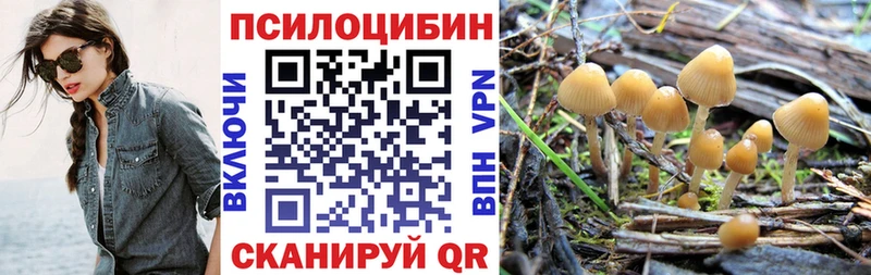 Псилоцибиновые грибы Psilocybe  Дмитров 