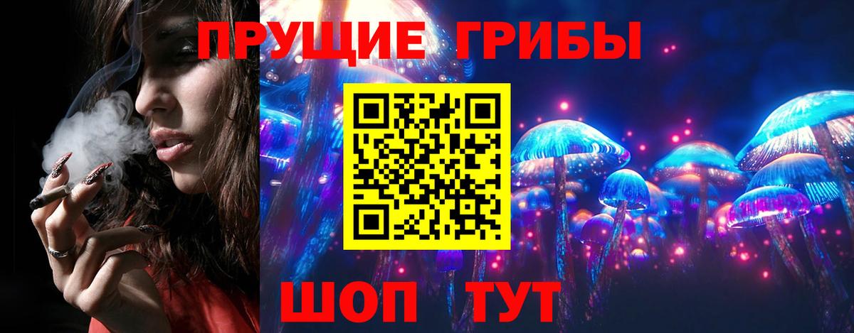 Псилоцибиновые грибы MAGIC MUSHROOMS  Вход с VPN  Дмитров 