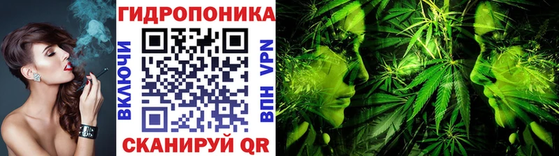 Бошки марихуана Bruce Banner  Дмитров 